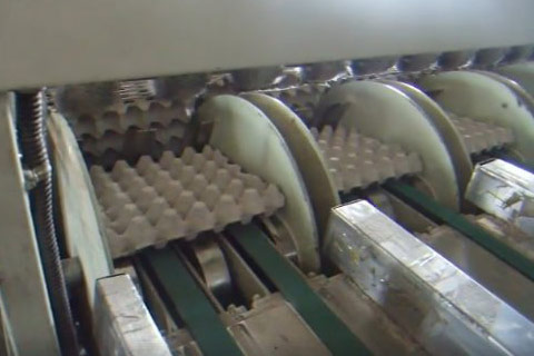 Paper Recycling Egg Tray Machine